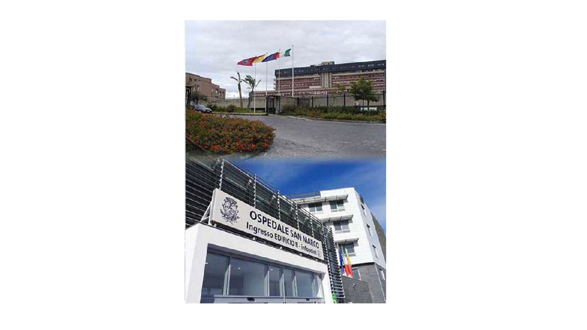 FOTO PRESIDI AZIENDALI.png